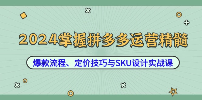 2024掌握拼多多运营精髓：爆款流程、定价技巧与SKU设计实战课-优创项目网