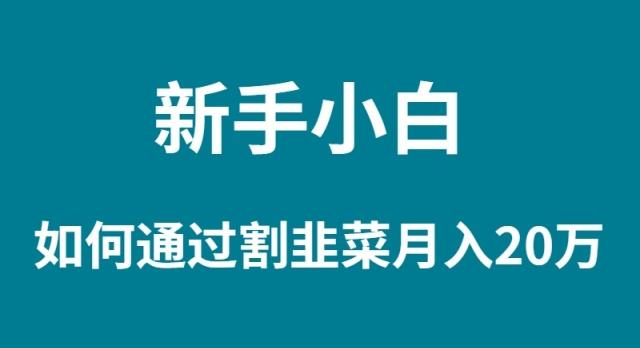 (9308期)新手小白如何通过割韭菜月入 20W-优创项目网