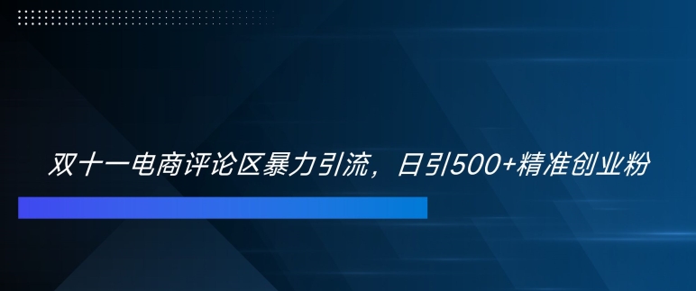 双十一电商评论区暴力引流，日引500+精准创业粉【揭秘】-优创项目网