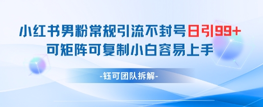 小红书男粉常规引流不封号日引99+变现简单 可矩阵可复制小白容易上手-优创项目网