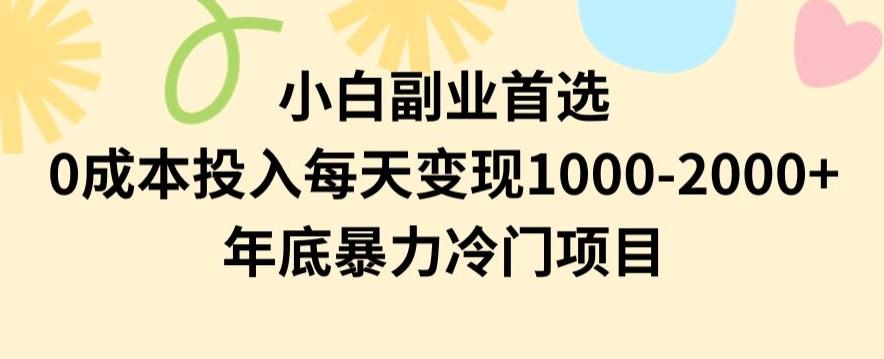 小白副业首选，0成本投入，每天变现1000-2000年底暴力冷门项目【揭秘】-优创项目网