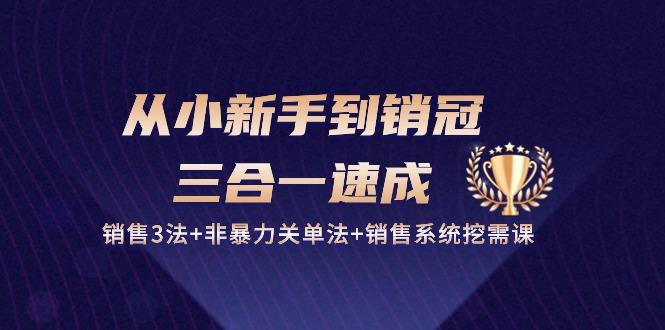 从小新手到销冠 三合一速成：销售3法+非暴力关单法+销售系统挖需课 (27节-优创项目网
