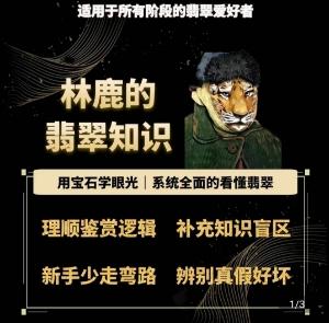 林鹿的翡翠知识，​用宝石眼光，系统全面的看懂翡翠-优创项目网