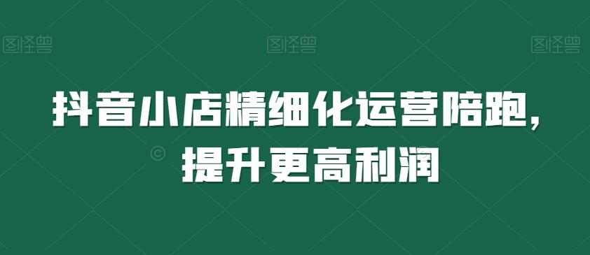 抖音小店精细化运营陪跑，提升更高利润-优创项目网