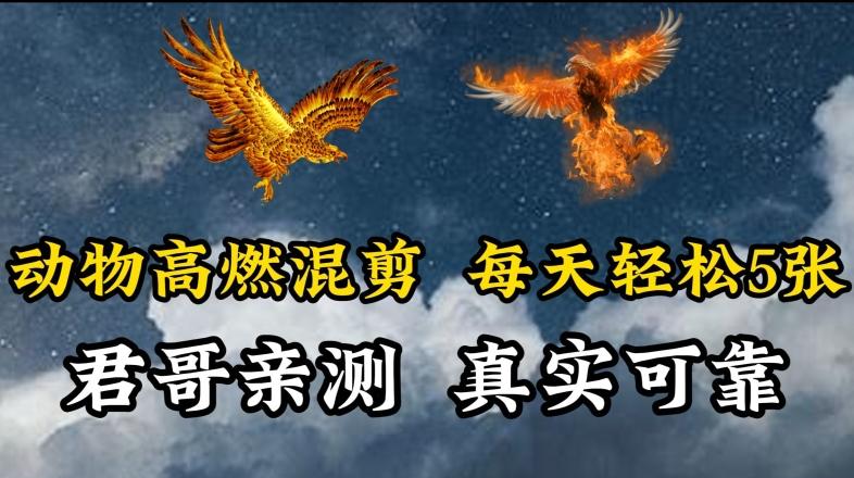 动物超燃混剪，每天轻松5张，剪辑简单大家爱看【揭秘】-优创项目网