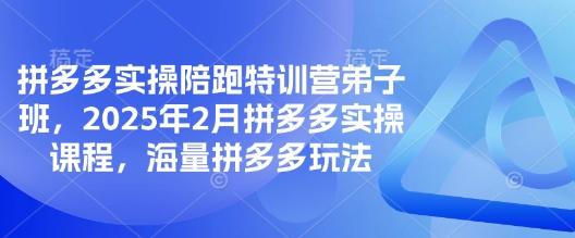 拼多多实操陪跑特训营弟子班，2025年2月拼多多实操课程，海量拼多多玩法-优创项目网