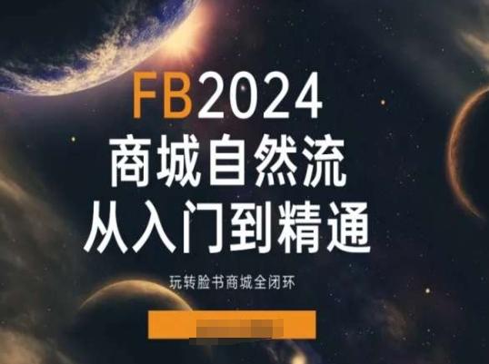 2024Faceboo商城自然流(从入门到精通)，玩转脸书商城全闭环-优创项目网