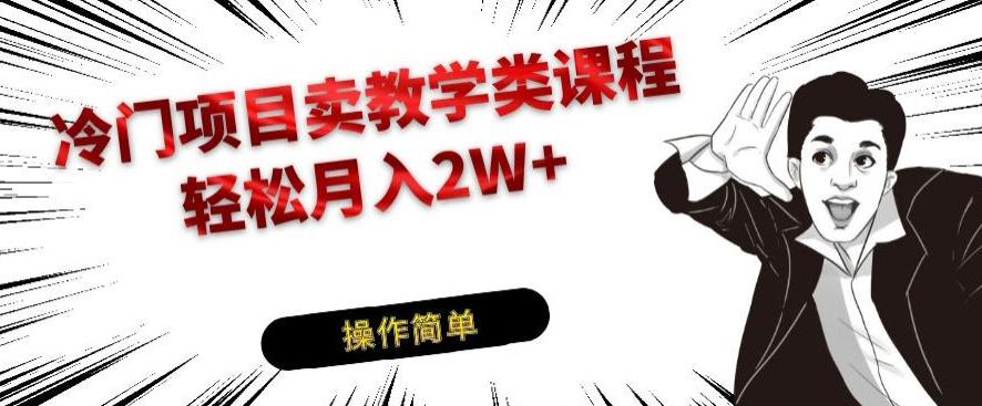冷门项目卖教学类课程，轻松月入2W+-优创项目网