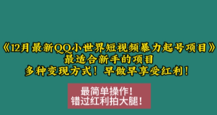 12月最新QQ小世界短视频暴力起号项目，最适合新手的项目，多种变现方式-优创项目网