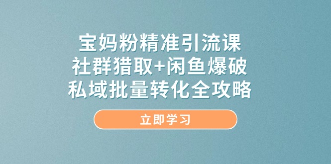 宝妈粉精准引流课，社群猎取+闲鱼爆破，私域批量转化全攻略-优创项目网