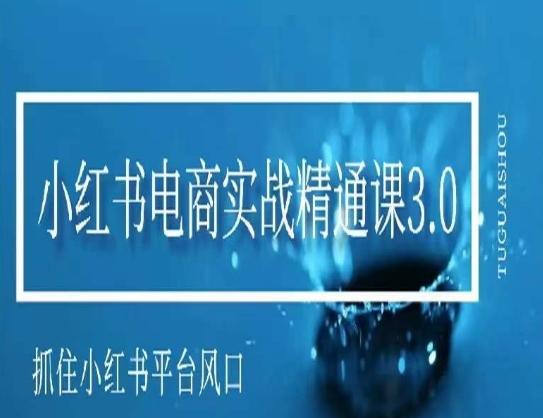 小红书电商实战精通课3.0，抓住小红书平台的风口，不错过有一个赚钱的机会-优创项目网