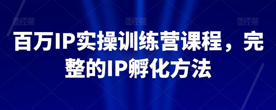百万IP实操训练营课程，完整的IP孵化方法-优创项目网