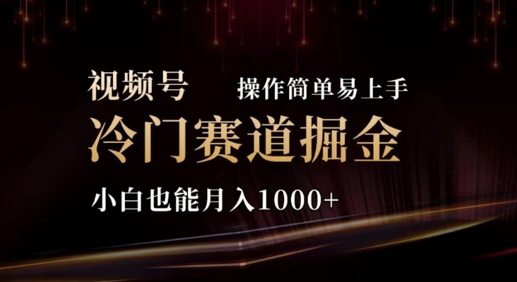 2024视频号冷门赛道掘金，操作简单轻松上手，小白也能月入1000+-优创项目网