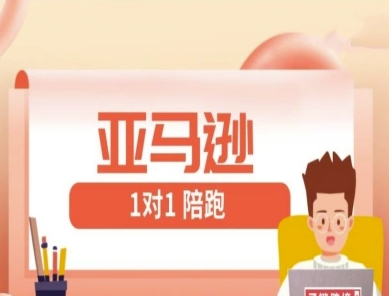 亚马逊1对1陪跑课(FBA/FBM精铺)跨境亚马逊教程-优创项目网