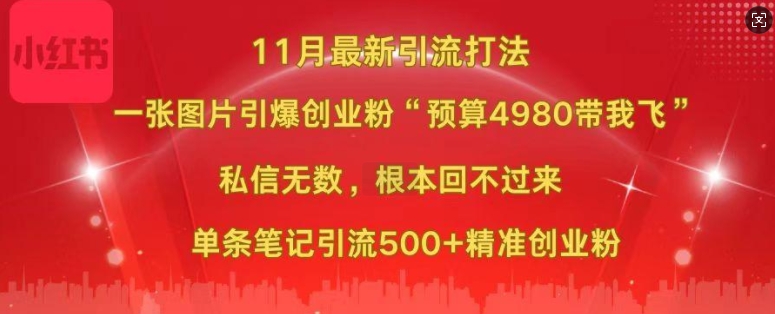 小红书11月最新图片打粉，一张图片引爆创业粉，“预算4980带我飞”，单条引流500+精准创业粉-优创项目网