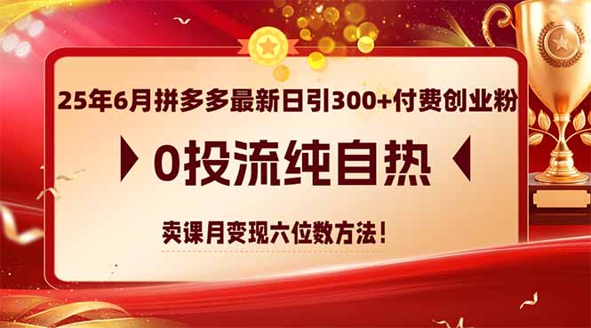 25年6月拼多多最新日引300+付费创业粉，0投流纯自热 卖课月变现六位数方法-优创项目网