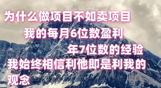 做项目不如卖项目，每月6位数盈利，年7位数经验-优创项目网