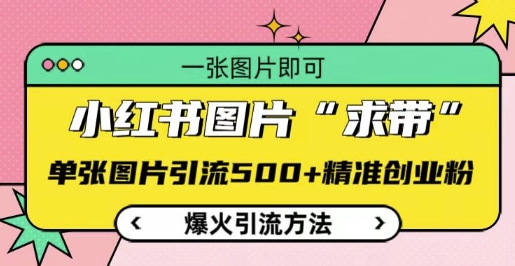 小红书图片‘求带’爆火引流法，单张图片引流500+精准创业粉【揭秘】-优创项目网