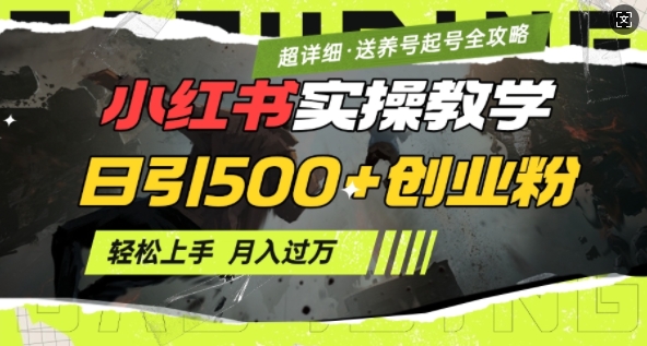 2月小红书最新日引500+创业粉实操教学【超详细】小白轻松上手，月入1W+，附小红书养号起号SOP-优创项目网