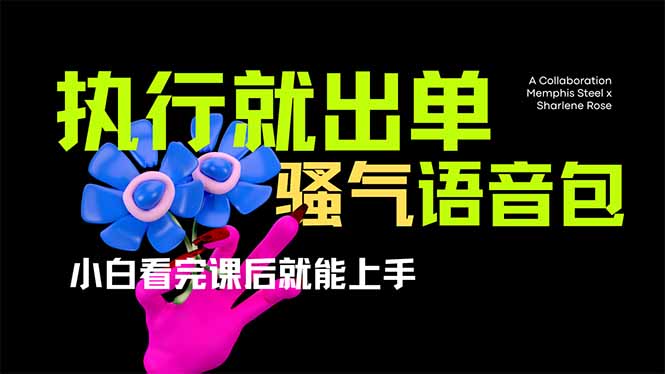 爆火全网的开车导航骚气语音包,只要执行就出单，小白看完课程就能实操…-优创项目网