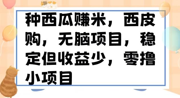 种西瓜赚米，西皮购稳定长久零撸小项目-优创项目网