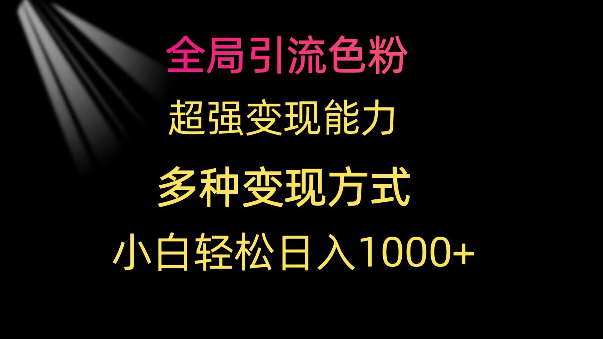 (9680期)全局引流色粉 超强变现能力 多种变现方式 小白轻松日入1000+-优创项目网