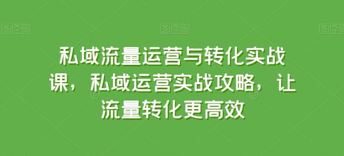 私域流量运营与转化实战课，私域运营实战攻略，让流量转化更高效-优创项目网