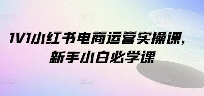 1V1小红书电商运营实操课，新手小白必学课-优创项目网