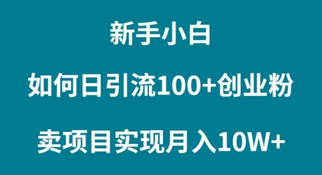 (9556期)新手小白如何通过卖项目实现月入10W+-优创项目网