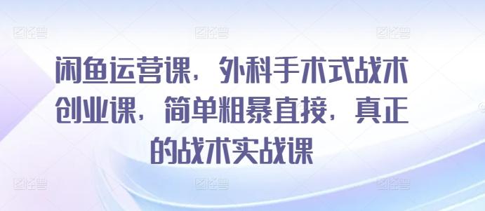 闲鱼运营课，外科手术式战术创业课，简单粗暴直接，真正的战术实战课-优创项目网