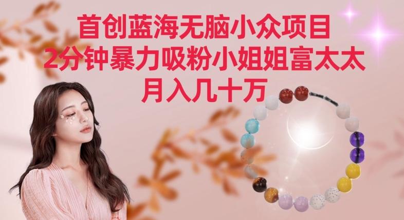 首创蓝海无脑小众项目，2分钟暴力吸粉小姐姐富太太，月入几十万【揭秘】-优创项目网