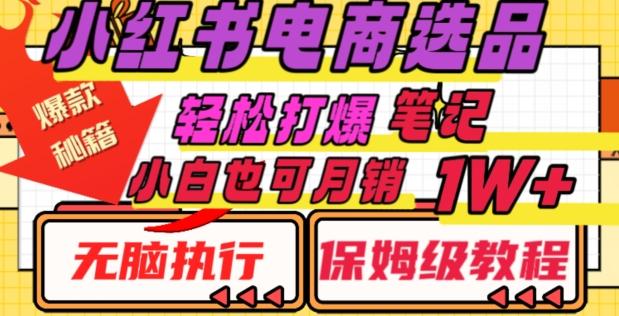 小红书电商爆款选品秘籍，帮你轻松打爆笔记，小白也可轻松月销10000+-优创项目网
