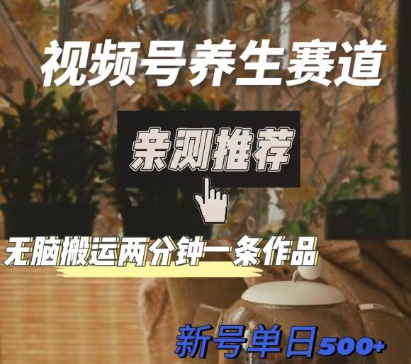 视频号养生赛道暴力掘金，无脑搬运，两分钟一条作品-新日单入500+-优创项目网