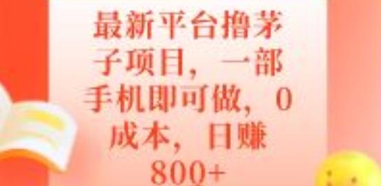 最新平台撸茅子项目，一部手机即可做，0成本，日赚800+-优创项目网