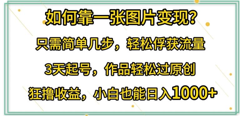 如何靠一张图片变现?只需简单几步，轻松俘获流量，3天起号，作品轻松过原创【揭秘】-优创项目网
