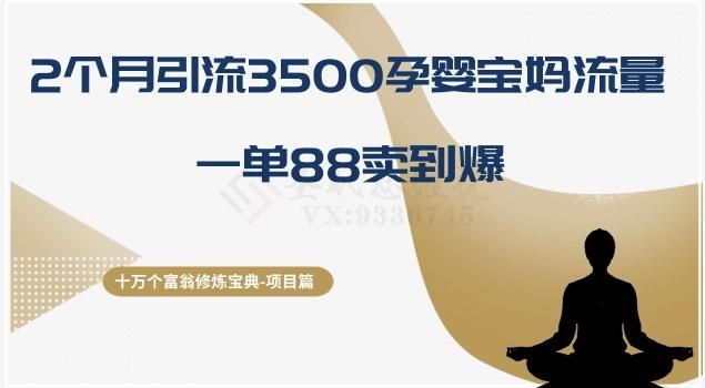 十万个富翁修炼宝典之13.2个月引流3500孕婴宝妈流量，一单88卖到爆-优创项目网