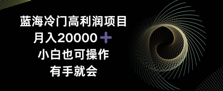 蓝海冷门高利润项目月入2000，小白也可操作有手就会-优创项目网