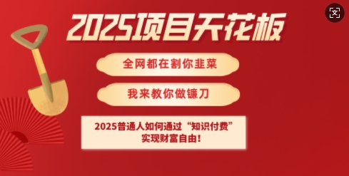 2025项目天花板普通人如何通过知识付费，实现财F自由【揭秘】-优创项目网